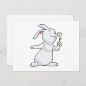 Carte Postale Lapin avec marguerite (Devant / Derrière)
