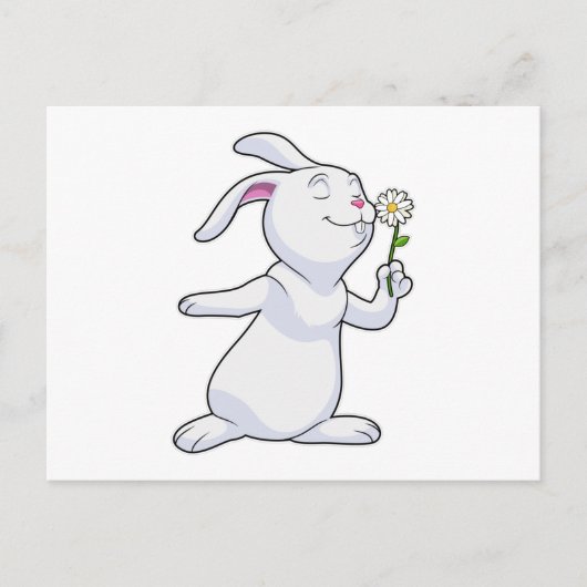 Carte Postale Lapin avec marguerite (Devant)