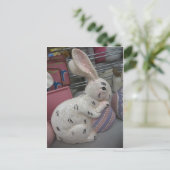 Carte Postale Lapin Avec Oeuf (Debout devant)
