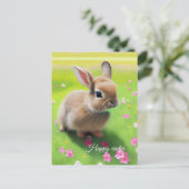 Carte Postale Lapin bébé mignon dans un pré fleuri (Debout devant)