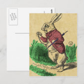 Carte postale Lapin Blanc (Devant / Derrière)