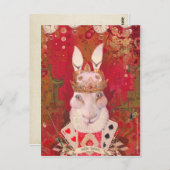 Carte Postale Lapin blanc (Devant / Derrière)