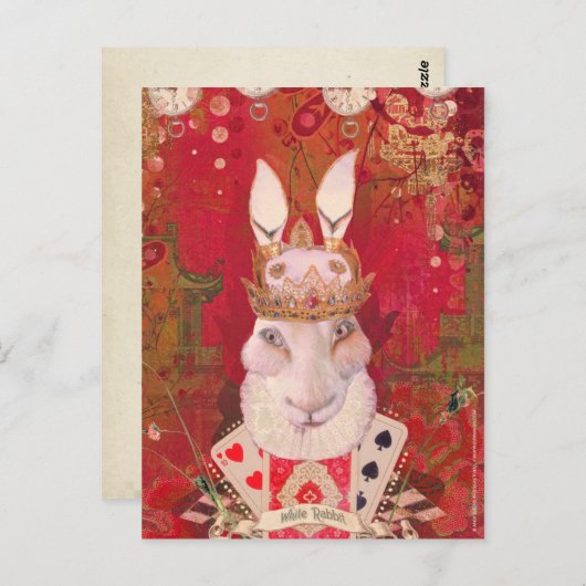 Carte Postale Lapin blanc (Devant / Derrière)