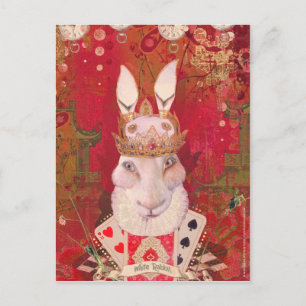 Carte Postale Lapin blanc