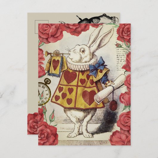 Carte Postale Lapin blanc (Devant / Derrière)