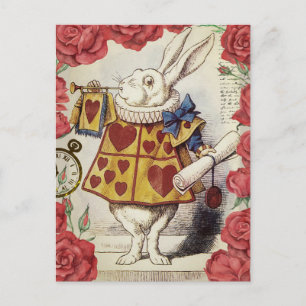 Carte Postale Lapin blanc