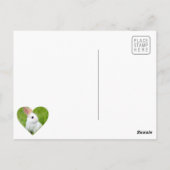 Carte Postale Lapin blanc (Dos)