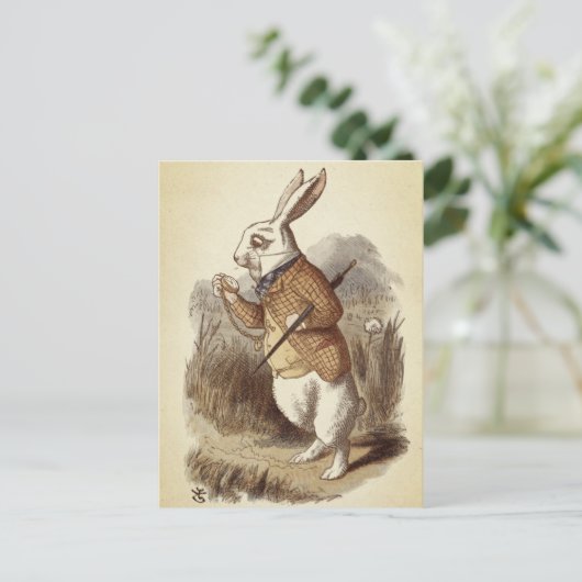 Carte Postale Lapin blanc (Debout devant)