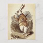 Carte Postale Lapin blanc (Devant)