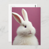 Carte Postale Lapin Blanc Adorable (Devant / Derrière)
