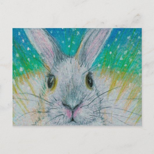 Carte Postale Lapin blanc dans la neige ! (Devant)