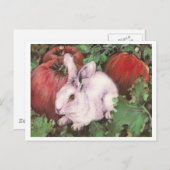 Carte Postale Lapin blanc dans le patch Citrouille (Devant / Derrière)