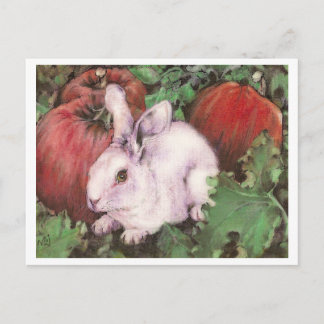 Carte Postale Lapin blanc dans le patch Citrouille