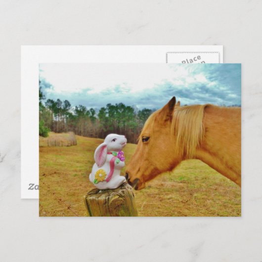 Carte Postale Lapin blanc et Cheval jaune (Devant / Derrière)