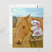 Carte Postale Lapin blanc et cheval jaune blond (Devant / Derrière)