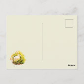 Carte Postale Lapin blanc et fleurs (Dos)