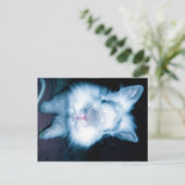 Carte Postale lapin bleu (Debout devant)