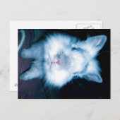 Carte Postale lapin bleu (Devant / Derrière)