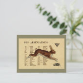 Carte Postale Lapin Brown (Debout devant)