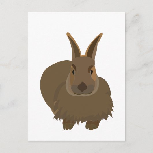 Carte Postale Lapin Bunny (Devant)