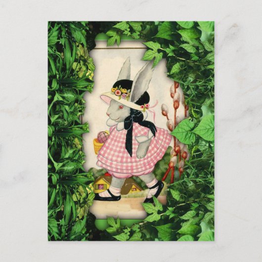 Carte Postale Lapin Dans Le Jardin (Devant)