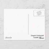 Carte Postale Lapin de Cottontail du désert (Dos)