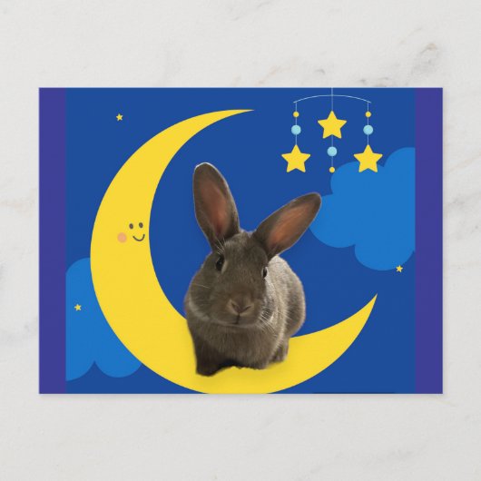 Carte Postale Lapin de Lune (Devant)