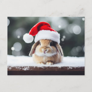 Carte Postale Lapin de Noël