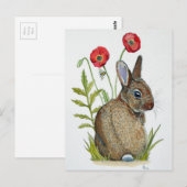 Carte Postale 'Lapin De Pavot' (Devant / Derrière)