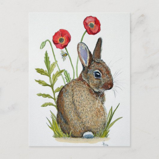 Carte Postale 'Lapin De Pavot' (Devant)