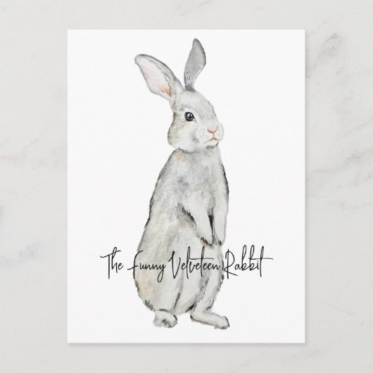 Carte Postale Lapin de velours drôle (Devant)