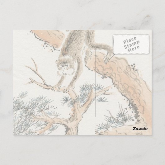 Carte Postale Lapin japonais (Dos)