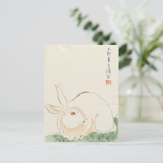 Carte Postale Lapin japonais (Debout devant)