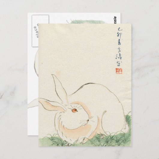 Carte Postale Lapin japonais (Devant / Derrière)
