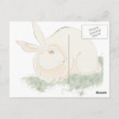 Carte Postale Lapin japonais (Dos)