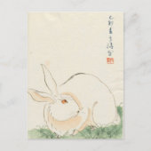Carte Postale Lapin japonais (Devant)