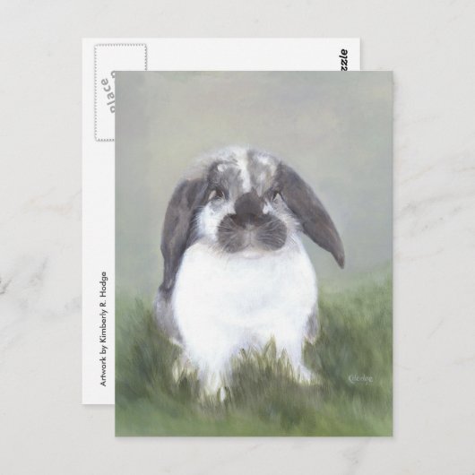 Carte postale Lapin Lapin (Devant / Derrière)