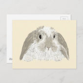 Carte Postale Lapin Lapin (Devant / Derrière)