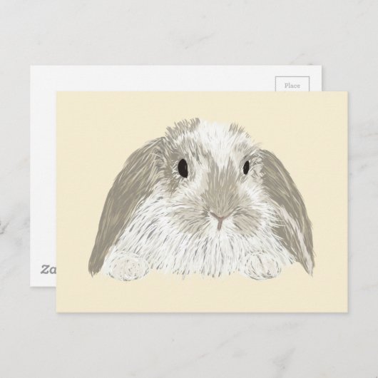 Carte Postale Lapin Lapin (Devant / Derrière)