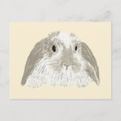 Carte Postale Lapin Lapin (Devant)