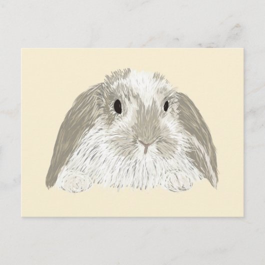 Carte Postale Lapin Lapin (Devant)