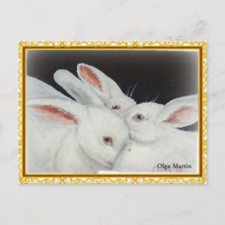 Carte Postale Lapin Lapin Blanc