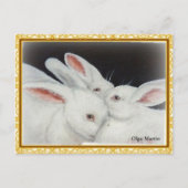 Carte Postale Lapin Lapin Blanc (Devant)