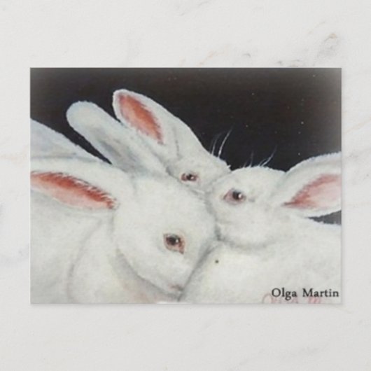 Carte Postale Lapin Lapin Blanc (Devant)