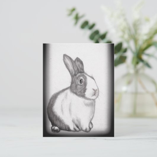 Carte Postale Lapin Lapin Blanc Fluffy Queue Longues oreilles Ca (Debout devant)
