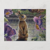 Carte Postale Lapin Lapin et Fleurs Nuit Rêver (Devant)