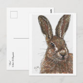 Carte postale lapin lapin lièvre (Devant / Derrière)