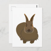 Carte Postale Lapin Lapin Lièvre (Devant / Derrière)