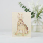 Carte Postale Lapin magnifique (Debout devant)
