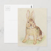 Carte Postale Lapin magnifique (Devant / Derrière)